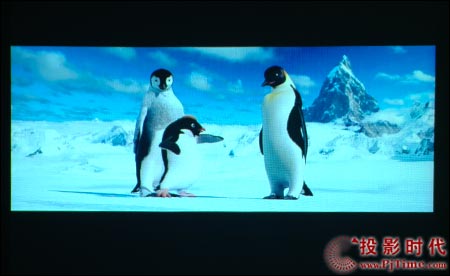 c(din)ŴNEC VT48+ͶӰC(j)ΑͿͨp