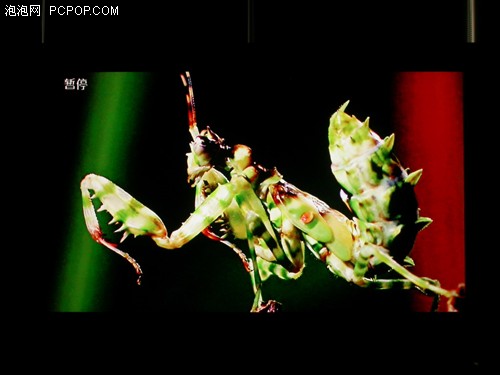 最低功耗僅74W!康佳37寸新品液晶評測