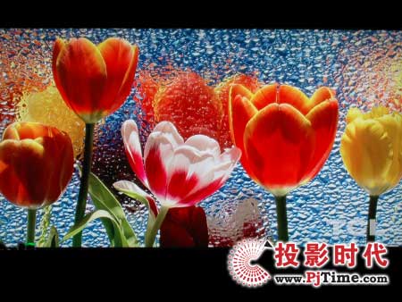 cŴTCL52ӢL52H78FҺҕ