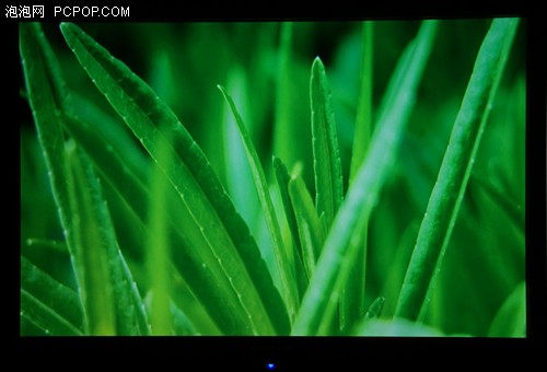 ܰ (yu)19PҺҕu