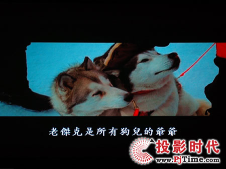 c(din)Ŵ󣬊WDa1080pͶӰC(j)HD803 DVDЧ