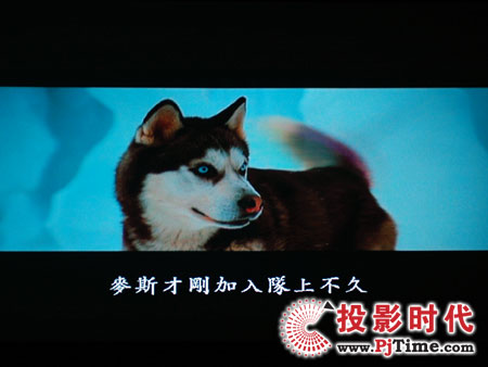 c(din)ŴWDa1080pͶӰC(j)HD803 DVDЧ