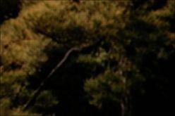 |(zh)|֥46FH7000Һҕuy(4)