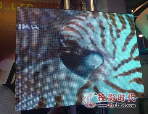 長(zhǎng)沙彩旭電子LED顯示屏亮相PALM 2009