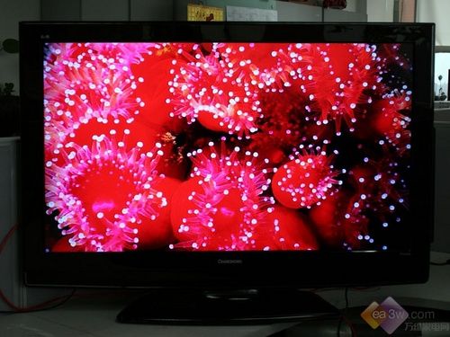 һIϾW(wng)Ӱ L(zhng)iTV42876Lҕu(png)y(c)