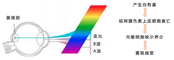 ���(c��)����˹�����g�ŵ������҂�(c��)LED