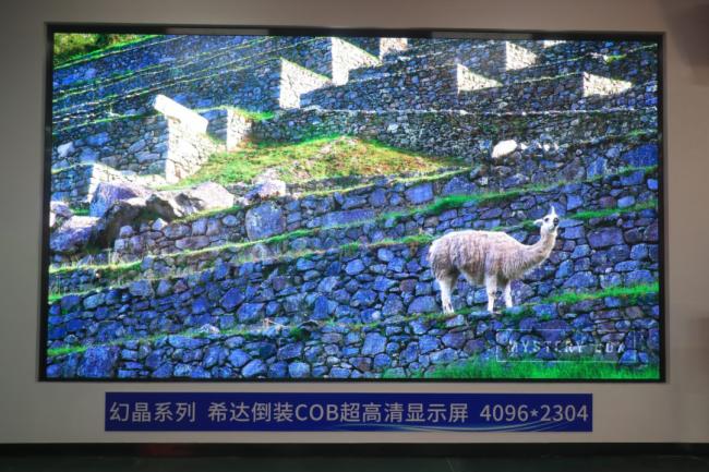 (chung)•ۄ•A|2022ϣ_ȫbCOB(chung)®a(chn)Ʒƽ鼰ɹ_