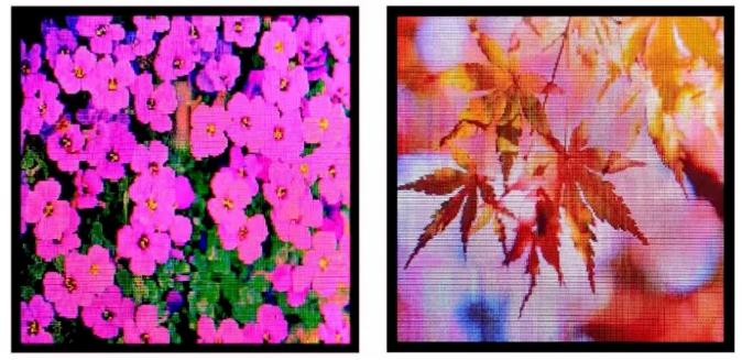 9MLEDa(chn)I(y)朅RMini LED/Micro LEDUa(chn)®a(chn)ƷY