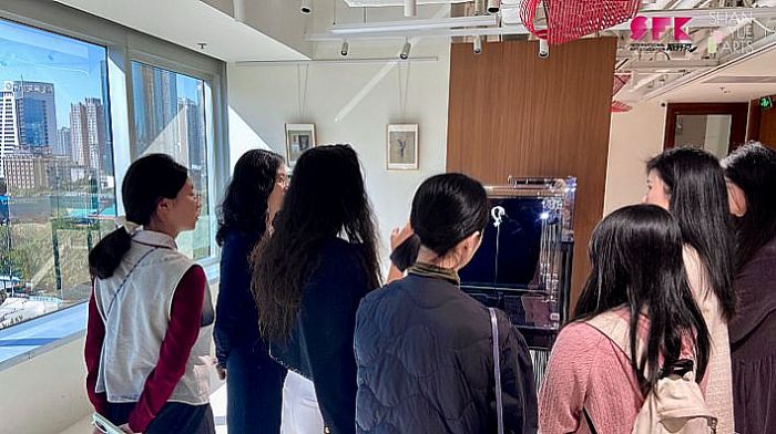 ��ӳ�K�����`����ɢ����QnWong�߼�ˇ�g(sh��)�錚��չˇ������