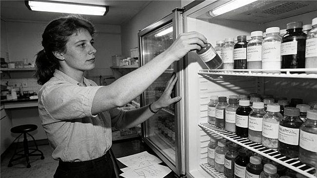 ��һλĸ�H�ďN����ȫ����ه��Organic Garden�W����30���꼃�����Z