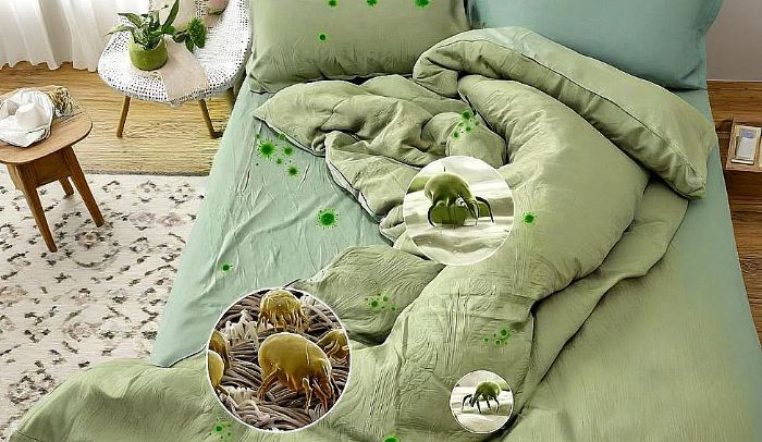 �����������w�к��������J����ǰʮ�ĳ�����Ʒ������ؐ��Ʒ�|(zh��)�J�C+SGS�z�y���o�̼�������