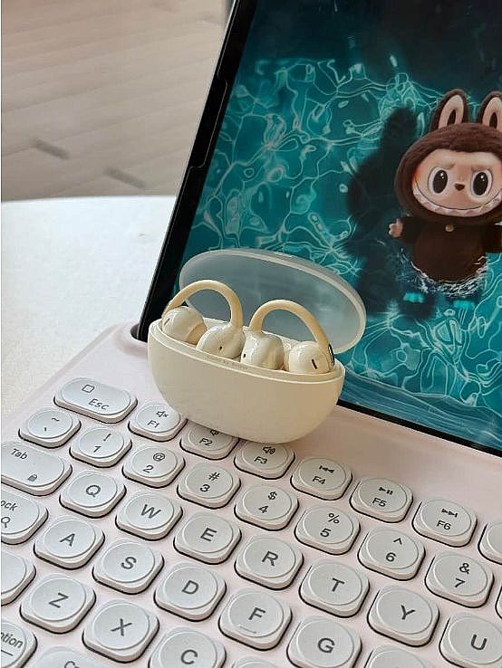 �{(l��n)�����C(j��)Ʒ�����] 2026 ���ԃr(ji��)��֮�x����˼�_��ʽ���Aʽ���C(j��)�����x