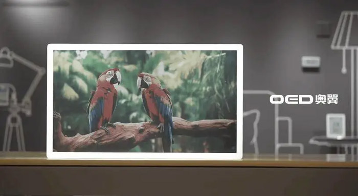 �����_�����S��(zh��n)����50�|Ԫ���YѺע��Ӽ����ܷ�Q�����^��δ��