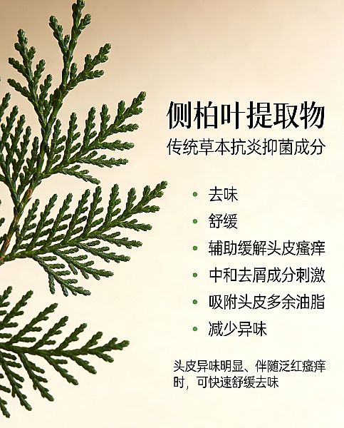 ��(sh��)�y(c��)2026���ܓpȥм���l(f��)ʲô���Ӻ����������o(h��)��мֹ�Wϴ�l(f��)ˮ�P(p��n)�c(di��n)����(qi��ng)�g�g�l(f��)ϴ�l(f��)ˮ���]����e�CȾ��l(f��)