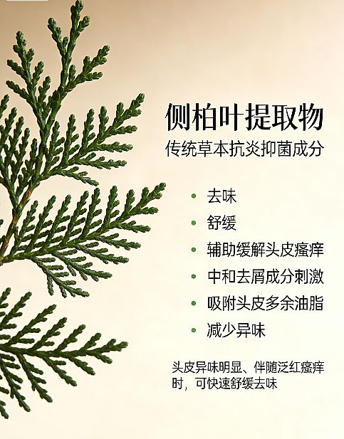 ���y2026������ȥм���l(f��)����ʲô���Ӻ��������澏��мϴ�l(f��)ˮ�P�c���g�l(f��)ϴ�l(f��)ˮ���]����e������l(f��)