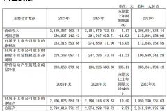 �|ɽ���ܵ�20����¶2025��ؔ(c��i)��(b��o)�I(y��)��(j��)